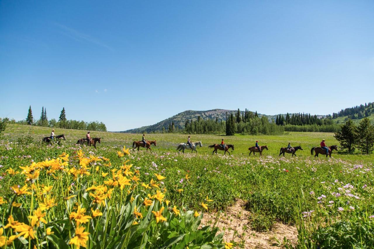 Sioux Lodge By Grand Targhee Resort Alta Zewnętrze zdjęcie
